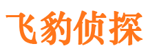 资阳市私家侦探